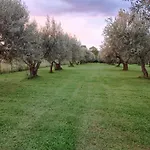 Eb 3*