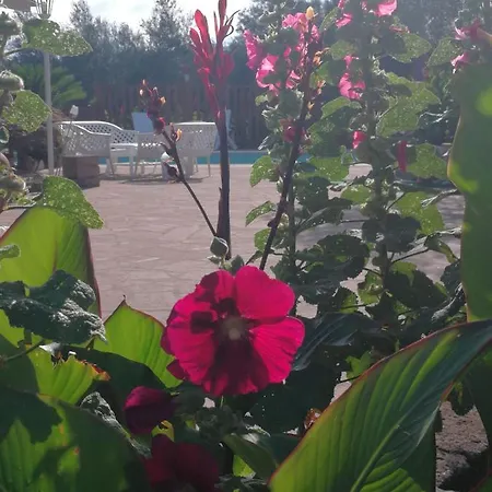 فندق مبيت وإفطار Eb