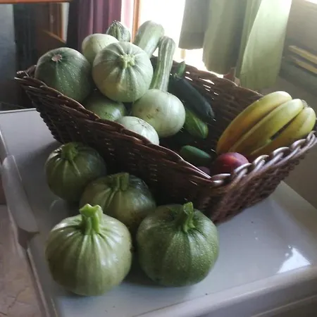Eb Bed & Breakfast Cura di Vetralla